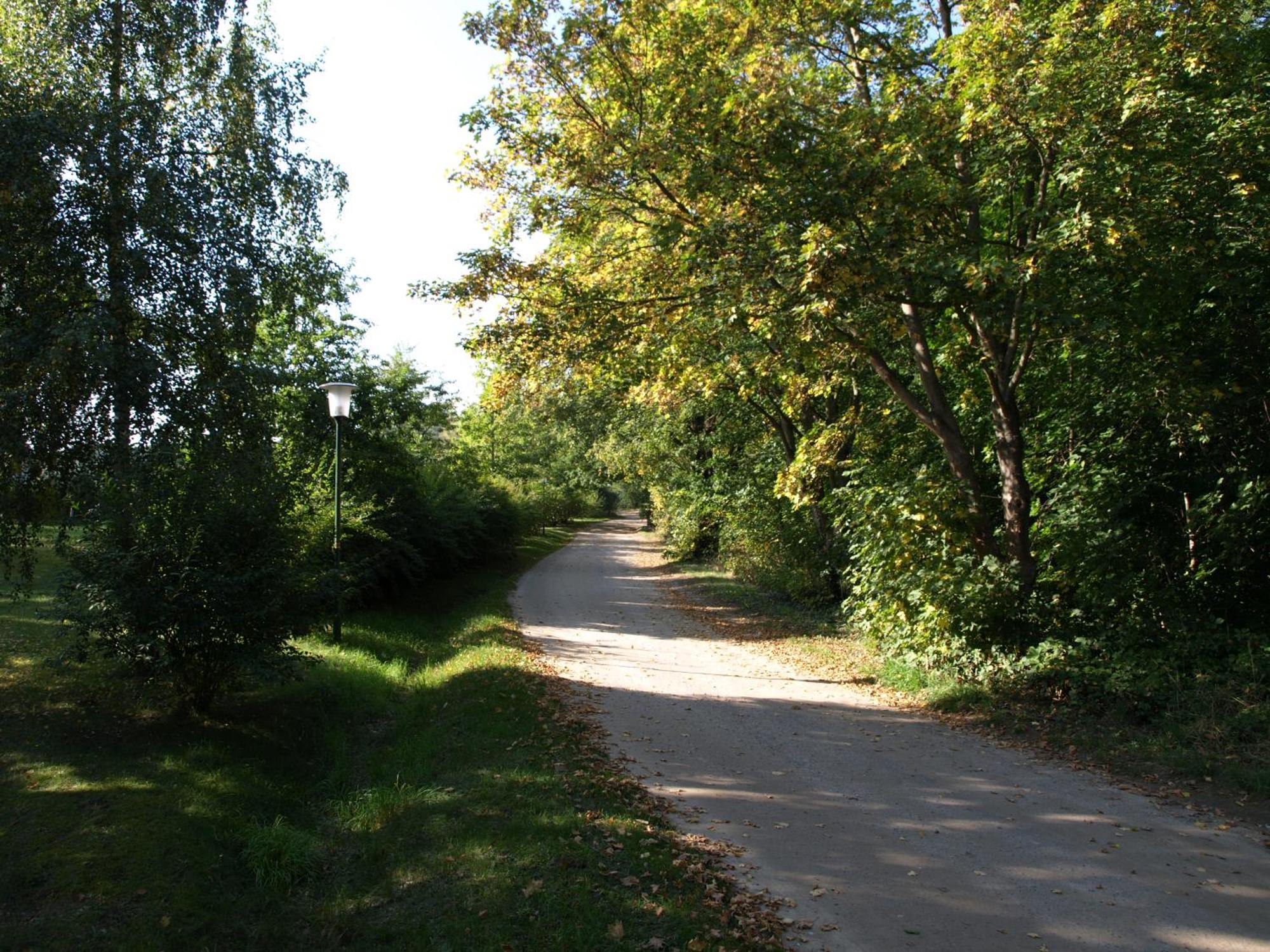 Ferienhaus Am Klosterwald Dargun Kültér fotó